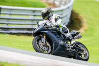 PJ-Motorsport-2019;anglesey;brands-hatch;cadwell-park;croft;donington-park;enduro-digital-images;event-digital-images;eventdigitalimages;mallory;no-limits;oulton-park;peter-wileman-photography;racing-digital-images;silverstone;snetterton;trackday-digital-images;trackday-photos;vmcc-banbury-run;welsh-2-day-enduro